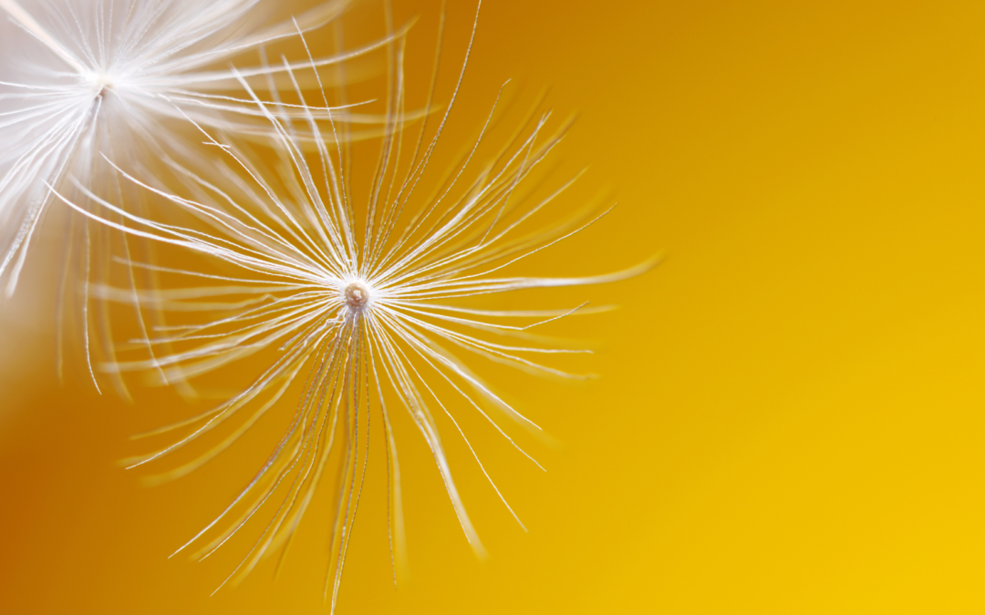 Trau dich ver – rückt